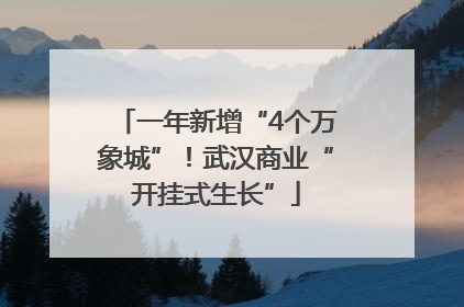一年新增“4个万象城”！武汉商业“开挂式生长”
