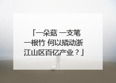 一朵菇 一支笔 一根竹 何以撬动浙江山区百亿产业？