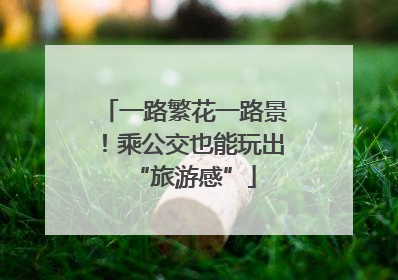 一路繁花一路景！乘公交也能玩出“旅游感”