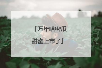 万年哈密瓜甜蜜上市了