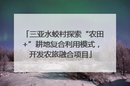 三亚水蛟村探索“农田+”耕地复合利用模式，开发农旅融合项目