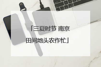 三夏时节 南京田间地头农作忙