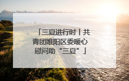 三夏进行时丨共青团睢阳区委暖心慰问助“三夏”