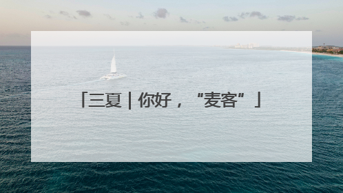 三夏｜你好，“麦客”
