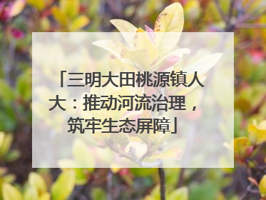 三明大田桃源镇人大：推动河流治理，筑牢生态屏障