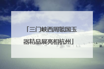 三门峡西周虢国玉器精品展亮相杭州