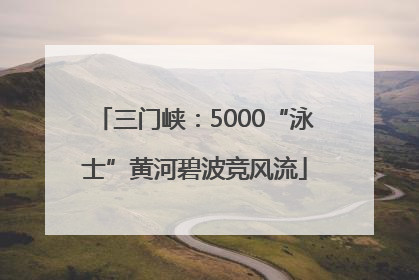 三门峡：5000“泳士”黄河碧波竞风流