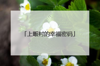 上畈村的幸福密码