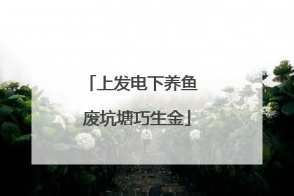 上发电下养鱼 废坑塘巧生金