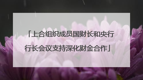 上合组织成员国财长和央行行长会议支持深化财金合作