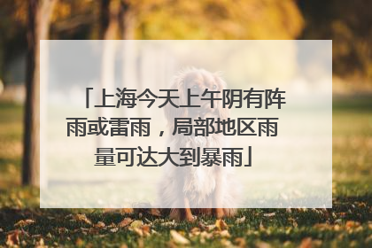上海今天上午阴有阵雨或雷雨，局部地区雨量可达大到暴雨