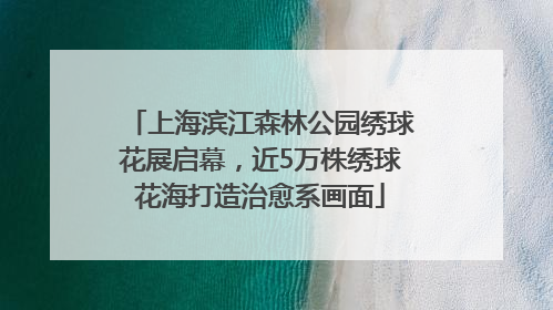 上海滨江森林公园绣球花展启幕，近5万株绣球花海打造治愈系画面