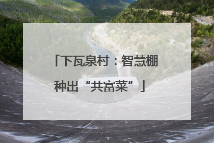 下瓦泉村：智慧棚种出“共富菜”
