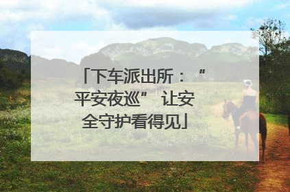 下车派出所：“平安夜巡” 让安全守护看得见