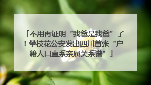 不用再证明“我爸是我爸”了！攀枝花公安发出四川首张“户籍人口直系亲属关系谱”