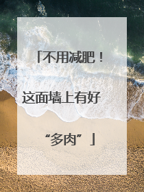 不用减肥！这面墙上有好“多肉”