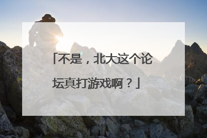 不是，北大这个论坛真打游戏啊？