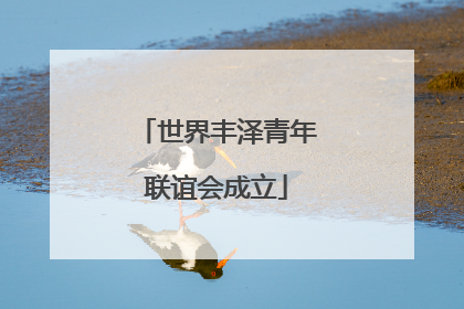 世界丰泽青年联谊会成立
