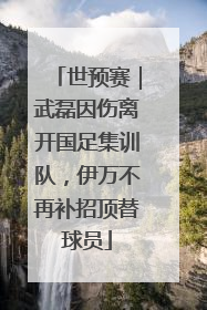 世预赛｜武磊因伤离开国足集训队，伊万不再补招顶替球员