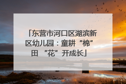 东营市河口区湖滨新区幼儿园：童耕“棉”田 “花”开成长