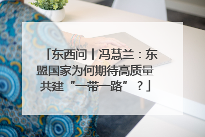 东西问丨冯慧兰：东盟国家为何期待高质量共建“一带一路”？