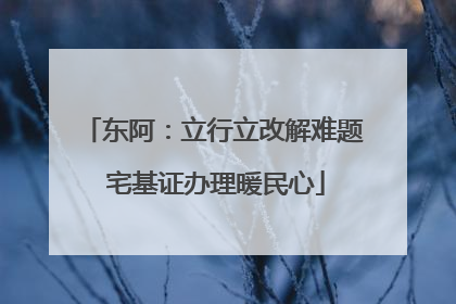 东阿：立行立改解难题 宅基证办理暖民心