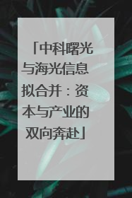 中科曙光与海光信息拟合并：资本与产业的双向奔赴