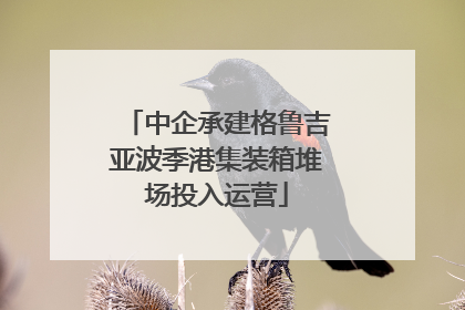 中企承建格鲁吉亚波季港集装箱堆场投入运营