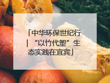 中华环保世纪行｜“以竹代塑”生态实践在宜宾