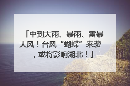 中到大雨、暴雨、雷暴大风！台风“蝴蝶”来袭，或将影响湖北！