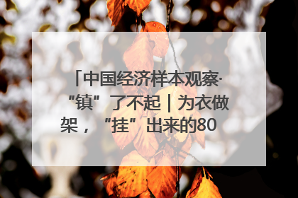 中国经济样本观察·“镇”了不起｜为衣做架，“挂”出来的80亿元“衣架产业”