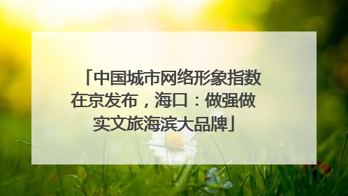 中国城市网络形象指数在京发布，海口：做强做实文旅海滨大品牌