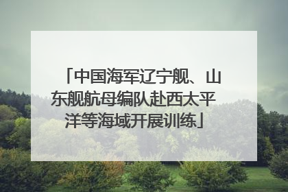 中国海军辽宁舰、山东舰航母编队赴西太平洋等海域开展训练