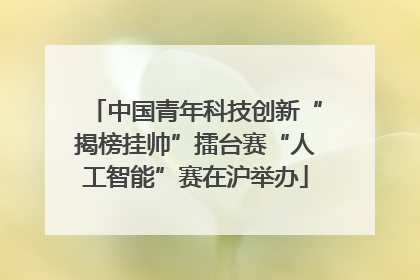中国青年科技创新“揭榜挂帅”擂台赛“人工智能”赛在沪举办