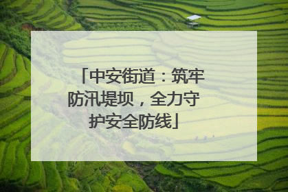 中安街道：筑牢防汛堤坝，全力守护安全防线