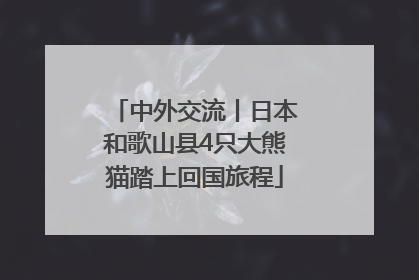 中外交流丨日本和歌山县4只大熊猫踏上回国旅程
