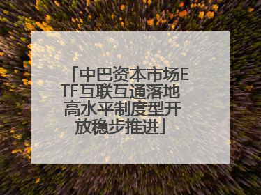 中巴资本市场ETF互联互通落地 高水平制度型开放稳步推进