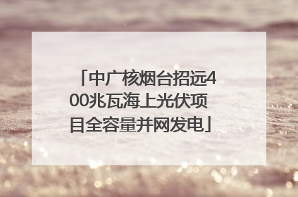 中广核烟台招远400兆瓦海上光伏项目全容量并网发电