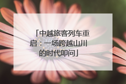 中越旅客列车重启：一场跨越山川的时代叩问