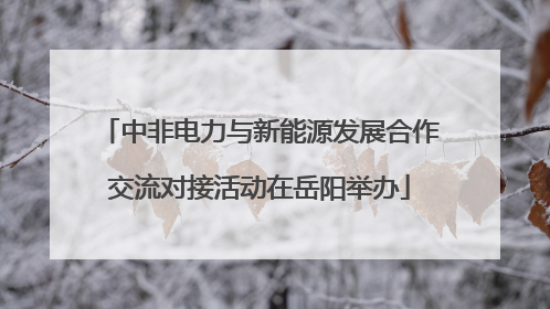 中非电力与新能源发展合作交流对接活动在岳阳举办