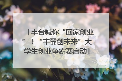 丰台喊你“回家创业”！“丰翼创未来”大学生创业争霸赛启动