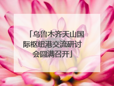 乌鲁木齐天山国际枢纽港交流研讨会圆满召开