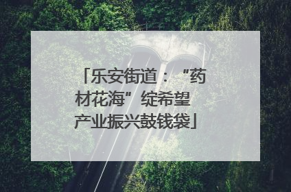 乐安街道：“药材花海”绽希望 产业振兴鼓钱袋