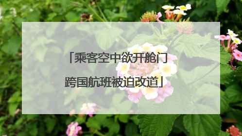 乘客空中欲开舱门 跨国航班被迫改道