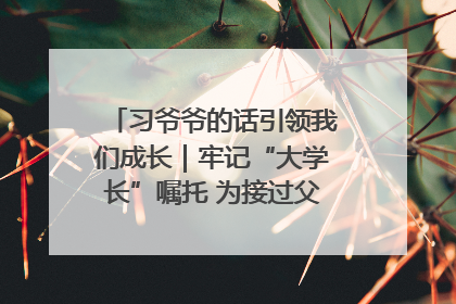 习爷爷的话引领我们成长｜牢记“大学长”嘱托 为接过父辈接力棒全力以赴