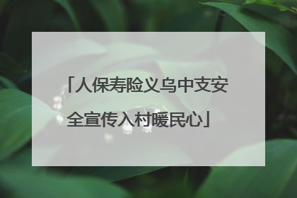 人保寿险义乌中支安全宣传入村暖民心