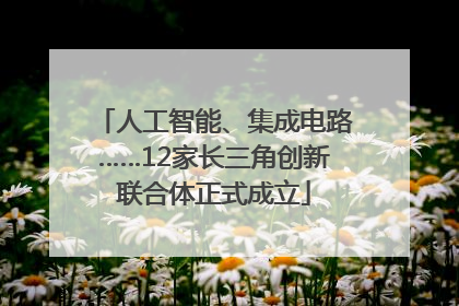 人工智能、集成电路……12家长三角创新联合体正式成立