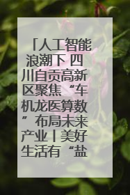 人工智能浪潮下 四川自贡高新区聚焦“车机龙医算数”布局未来产业丨美好生活有“盐”味