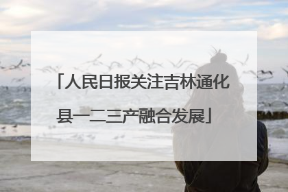人民日报关注吉林通化县一二三产融合发展