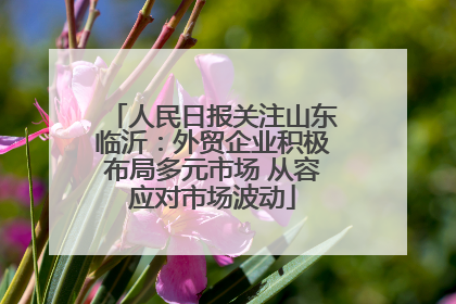 人民日报关注山东临沂：外贸企业积极布局多元市场 从容应对市场波动